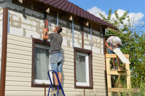 Best Vinyl Siding Installation  in Fallon, NV