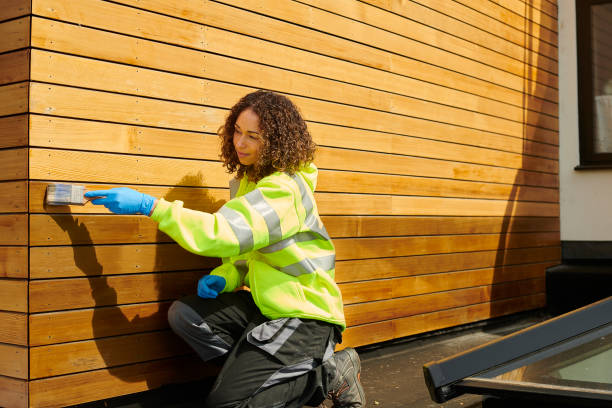 Best Stucco Siding  in Fallon, NV